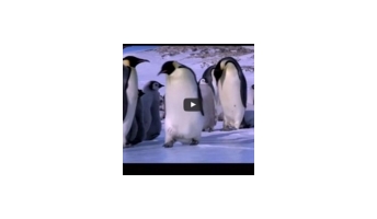 Penguins on Ice (the Bloopers)