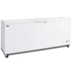 TEFCOLD CF700 SL Ice Cream Freezer
