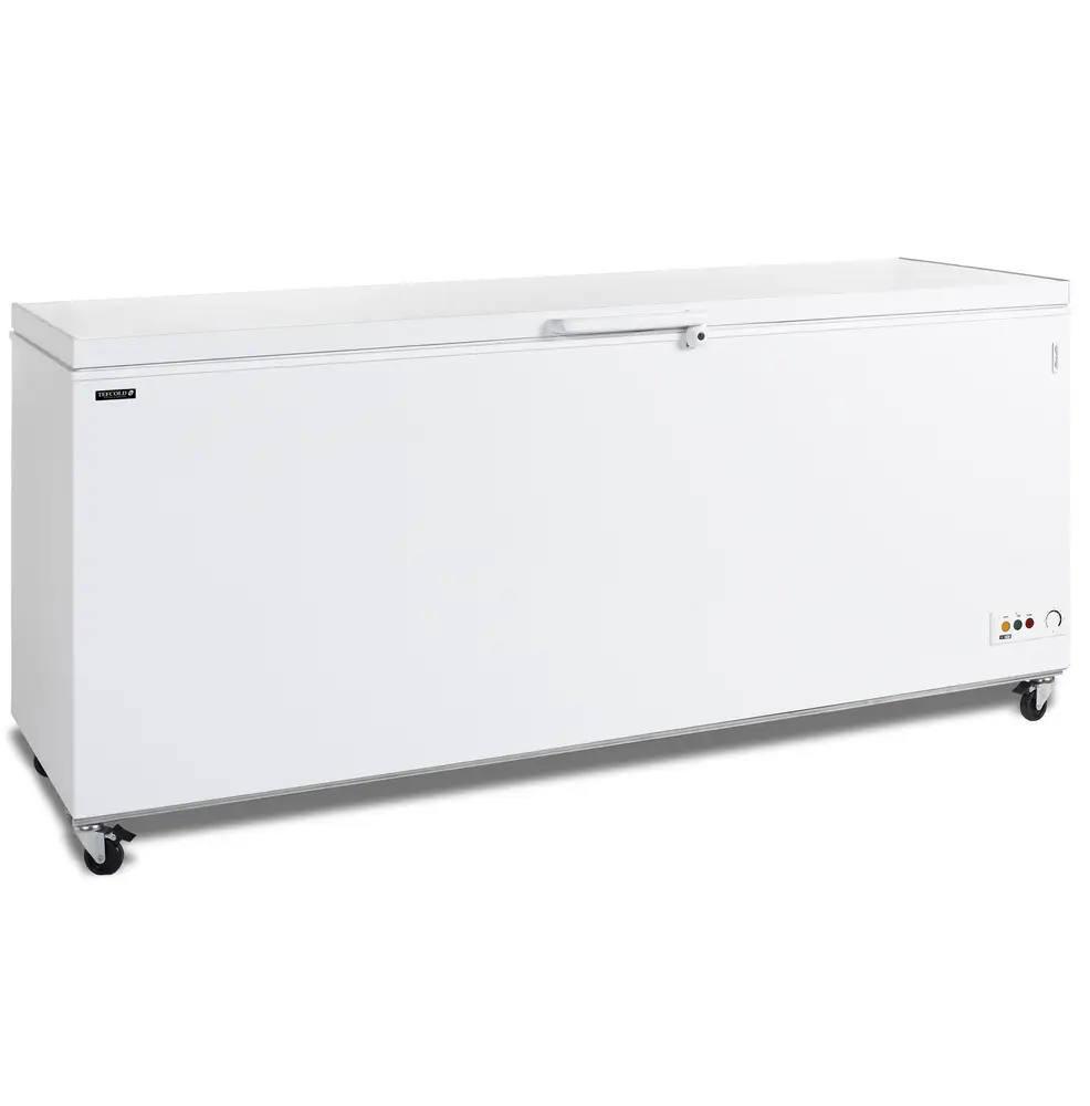 TEFCOLD CF700 SL Ice Cream Freezer