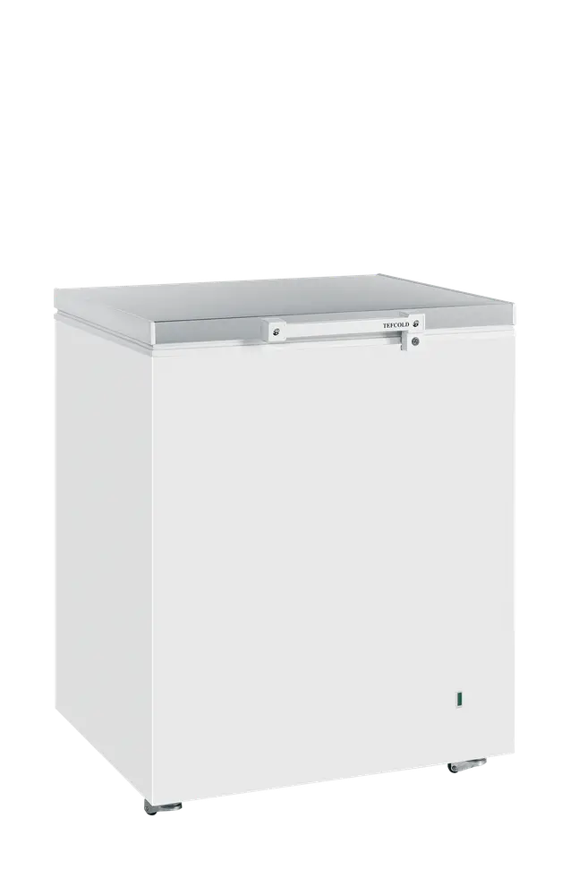 TEFCOLD GM200SS Solid Lid Chest Freezer