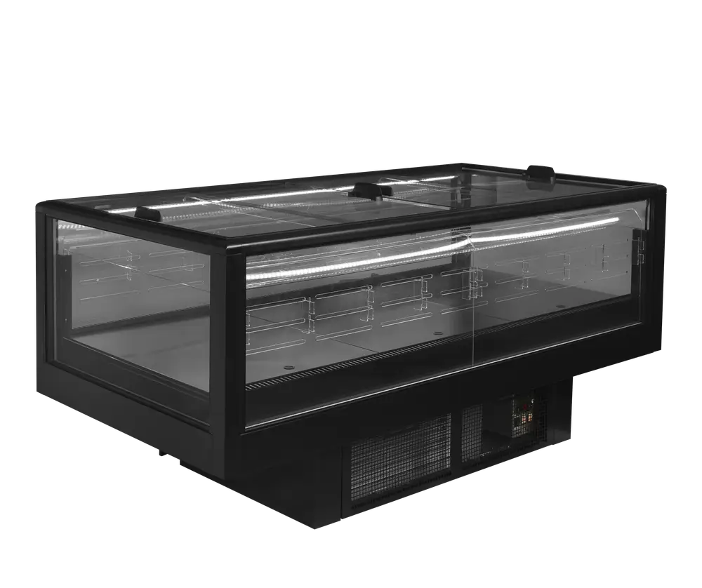 TEFCOLD EIDA 200B Black impulse cooler/freezer