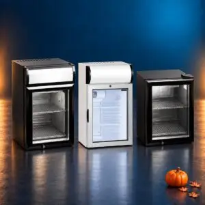 Counter Top Fridges
